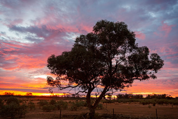 Fototapeta na wymiar Outback sunrise landscape Australia