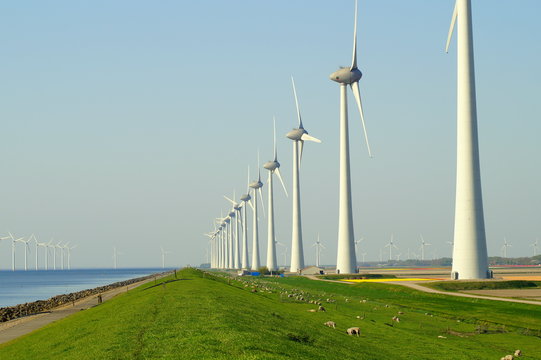 Energienutzung - Am Meer gibt es immer genug Wind 
