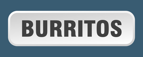 burritos button. burritos square 3d push button
