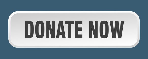 donate now button. donate now square 3d push button