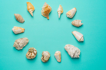 Flat lay. Top view. Frame of shells of various kinds on a blue background. Seashells and starfish on a pastel background. Vacation concept
