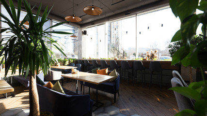 Green zone with plants on terrace with big panoramic windows