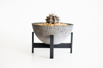 Design pots and plants that are home decorations