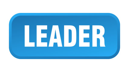 leader button. leader square 3d push button