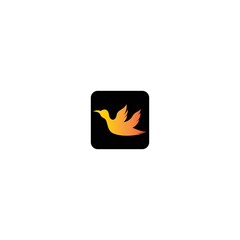 Bird logo template vector icon design