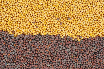Food background: dried seed yellow and brown mustard