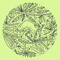 Cute doodle style drawing. Sloth sleeping on a tree branch, leaves and fruits composition. Vector template for cover, card, poster, print and other users