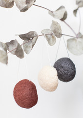 natural sponge konjac for face and body care, cleansing sponge hanging on a branch of eucalyptus