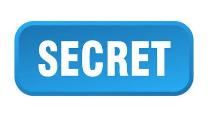 secret button. secret square 3d push button