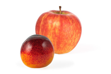 ripe juicy plum and red apple isolated on white background