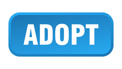 adopt button. adopt square 3d push button