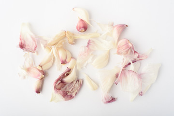 Fototapeta na wymiar Onion slices with husk Isolated on a white background