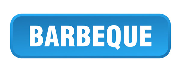 barbeque button. barbeque square 3d push button
