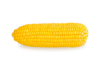 sweet corn isolated on white background with clipping path 