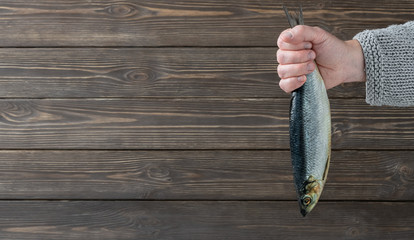 Male hand holding solted atlantic herring. Salted herring for making a Haringhandel sandwich on...
