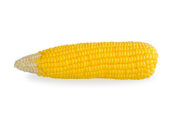 sweet corn isolated on white background with clipping path 
