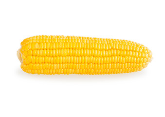 Sweet corn isolated on white background with Clipping path