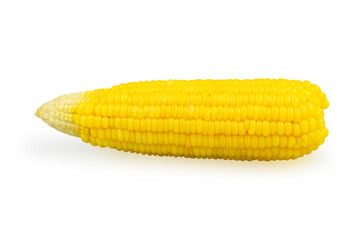 sweet corn isolated on white background with clipping path 