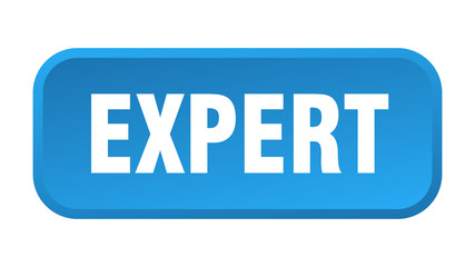 Fototapeta premium expert button. expert square 3d push button