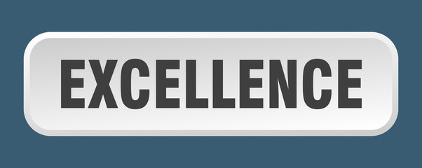 excellence button. excellence square 3d push button