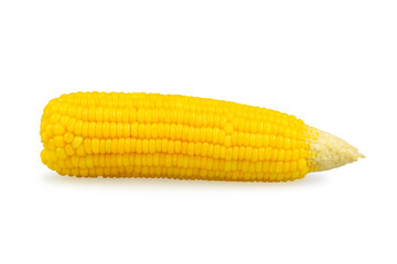 sweet corn isolated on white background with clipping path 
