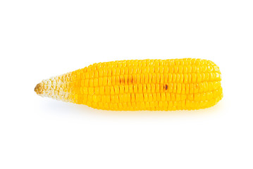 Grilled sweet corn isolated on white background with clipping path 