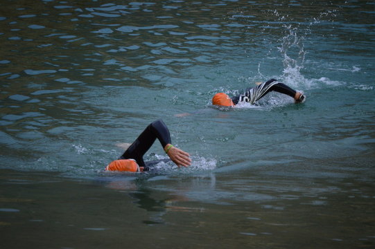 Triathletes swimming in a lake in a triathlon trial