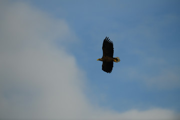 le ciel