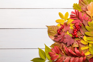 Image with autumn leaves.