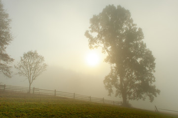 Fototapeta na wymiar foggy autumn morning in the countryside