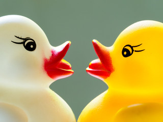 Two cute toy rubber ducks, one white and the other yellow. They look into each others eyes with their bright red beaks almost touching.