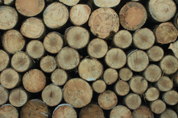 Fototapeta premium Firewood stacked woodpile.