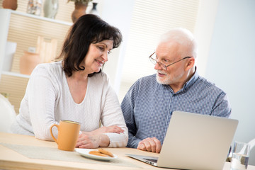 Obraz na płótnie Canvas Happy elderly couple shop online together