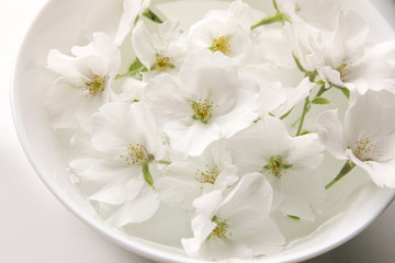 Fototapeta na wymiar 白い山桜を浮かべて
