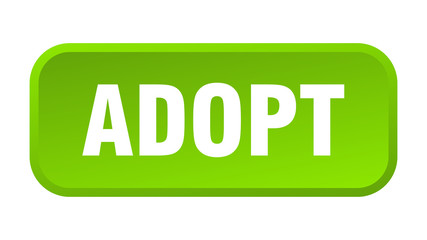 adopt button. adopt square 3d push button