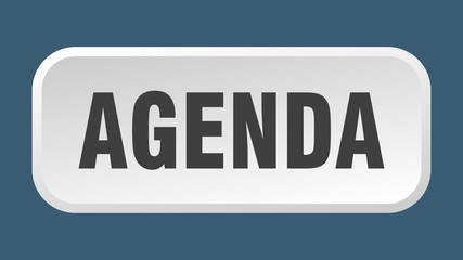 agenda button. agenda square 3d push button