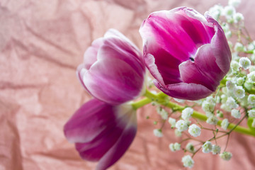 pink tulips bouquet on paper background