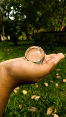 wedding rings on hand