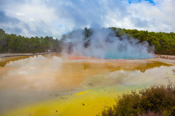  Rotorua is a unique geothermal zone