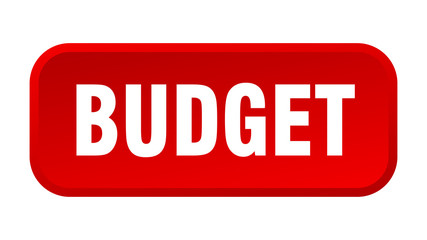 budget button. budget square 3d push button