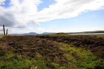 Brodgar - Orkney (Scotland), UK - August 06, 2018: Ring of standing stones at Brodgar, Orkney,...