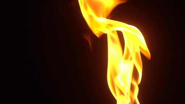 Burning fire. Closeup of flames burning in slow motion effect.