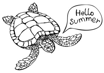 Fototapeta premium Hand drawn sea turtle on white background. Hello summer. Vector illustration. Perfect for invitation, greeting card, postcard, fashion print, banner, poster for textile, fashion design.