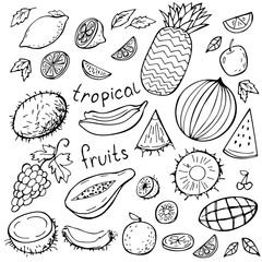 Set of tropical doodles fruits isolated on white. Vector illustration. Perfect for greeting card, postcard, print, coloring book.