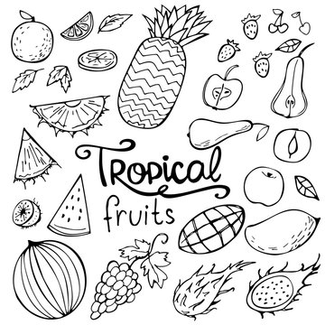 Set of tropical doodles fruits isolated on white. Vector illustration. Perfect for greeting card, postcard, print, coloring book.