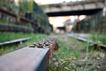petite ceinture n°2