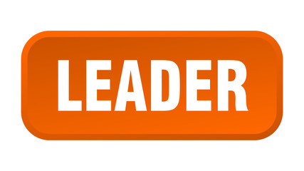 leader button. leader square 3d push button