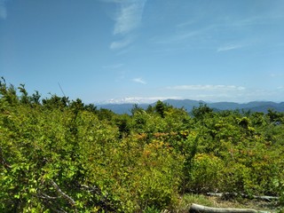 山頂からの景色1