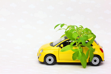 yellow toy car delivering tomato sprouts for planting seedlings in the  kitchen-garden greenhouse