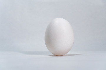 Close up view of white chicken egg standing vertically isolated on white background.
